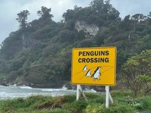 Even the penguins were probably hiding from the wind.