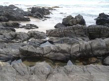 Love the rocks