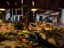 Rialto fish market