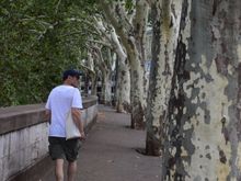 Along the Tiber