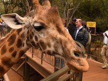Giraffe Center - note the warning sign