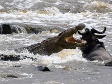 We could not look away despite how horrifying this was.