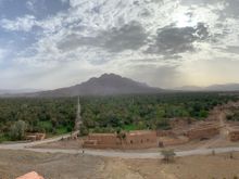 It’s hard to see on my phone but I think this is a view of the 2 million date palms. 