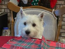 Watson says yeah me too!