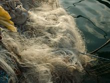 Iles de Lerins: St. Honorat nets.