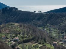 We went to the agricultural hinterlands of Tramonti, where Sal de Riso's factory is located. 