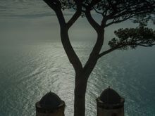 Villa Rufolo's iconic umbrella pine looming over its twin little towers.