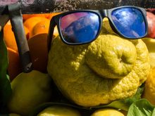 Lovely lemon land, you make us feel so fine...
Lets do the Sentieri dei limone.