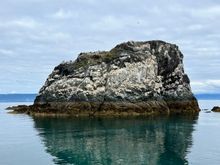 One of the islands near Gull Island. There is a bird in every nook in the rock and at the top 