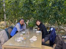 Friðheimar - lunch amongst the tomato plants