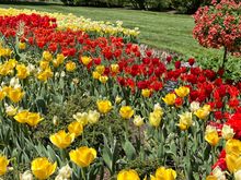 More of the flower garden walk