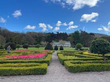 Muckrose garden