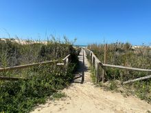One of many slatted wood walkways to PLAYA DEL PALMAR, Vejer