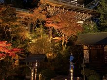 Evening illumination