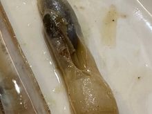 Some foods taste a LOT better than they look!