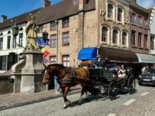 Lots of horse drawn carriages!