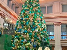 This was downtown Chicago on Thursday. The famous My Chicago day on Thursday. Macy’s Christmas tree in the very famous Walnut Room restaurant. . This all screams Chicago. This used to be Marshall Fields and the tree was decorated as an ode to Marshall Fields this year. It’s the most beautiful department store and it is etched into my childhood memories. I had chicken pot pie there—again it’s famous. ( and good). 