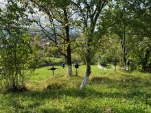 The cemetery in which the small wooden church of Barsana is located