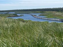 What can be prettier than this!