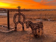 Sunup near Dodge City, Kansas.