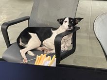 He loved the concert though so don't listen to me.