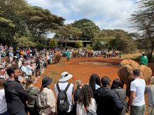 This is peak tourist season so we have been told to expect big crowds wherever we go.