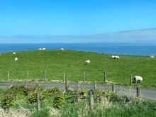 Along the coast