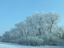 It's hard to describe -10 if you're not dressed for it. Brrr just does not do it justice.