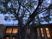 Outside terrace looking in 