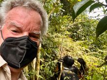 Me and a Silverback (alpha male)