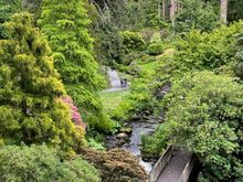 In the forest over by the Old Mill