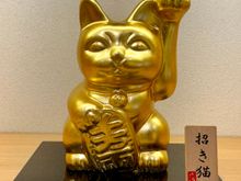 This country is cat crazy!!!!!!!!!