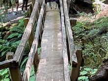 At one point threre is a one lane, walking bridge that is essentially one big split log.