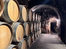 Ancient cellers, Casa Primica 