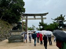 The umbrella brigade…