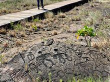 The petroglyphs were in a wide area but they now have a boardwalk for you to walk around a representative sample. Most were not depictions of animals or humans. This was the best example of human drawings. They all date from the 1300s or so.