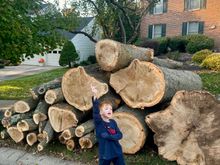 7 Yo grandson in front of remains Funeral tomorrow. 