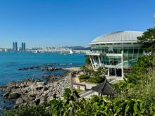 APEC building. Zoom in on next photo for description.