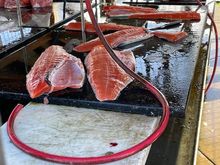 Here are some nice salmon steaks, now that is fresh.