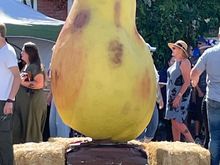 Meet the Giant Pear.  Everyone got there picture around the pear.  Kelseyville grows about 20% of the pears in California.