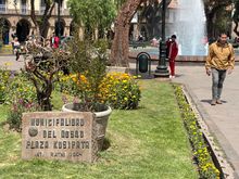 San Francisco square with a garden in the center