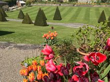 Plas Cadnant - topiary and meadows beyond