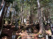 The beginning of the 383 stairs leading to the Omata Sansha