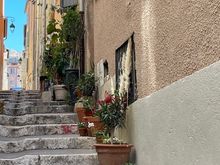 Street gardening 