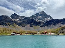 The former whaling station town of Griviknak where legendary explorer Earnest Shackleton is buried in a small cemetery. We were able to land here but the cemetery was closed due to Avian flu. 