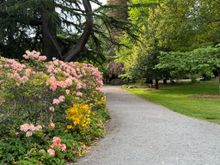 Christchurch Botanic Gardens