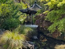 The walled Chinese-style garden