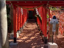 Torii gates with cardboard cutout of Kima-chan