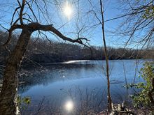 Simple but peaceful bit of nature. 