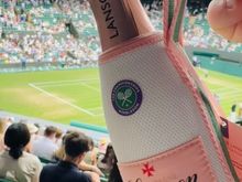 Loved the Lanson Champs